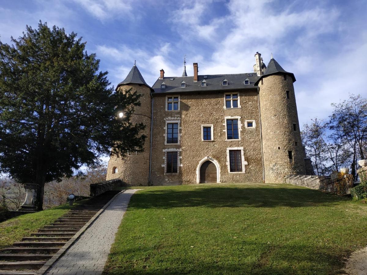Appartement Chateau Uriage-Chamrousse Saint-Martin-dʼUriage Buitenkant foto